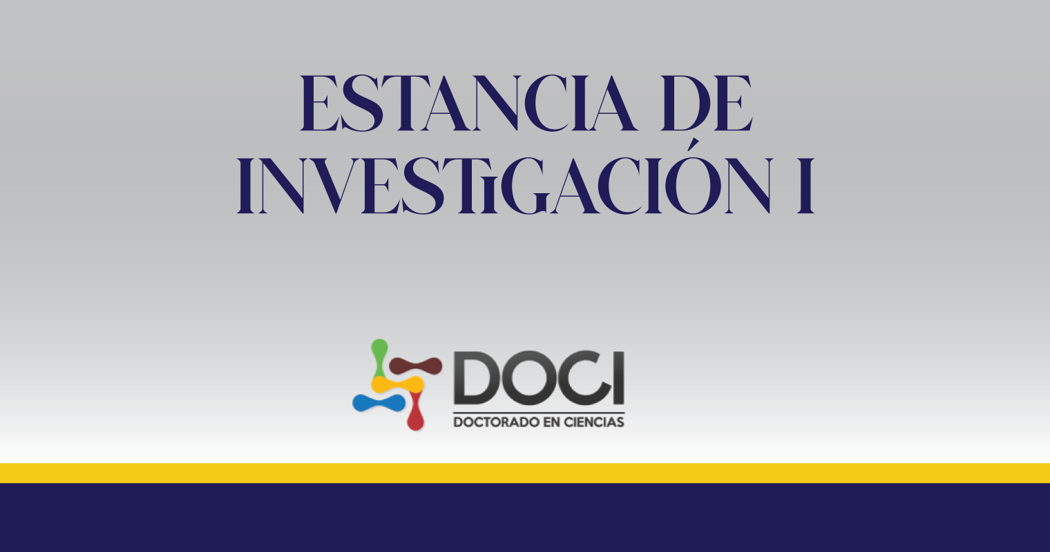Estancia de Investigación I