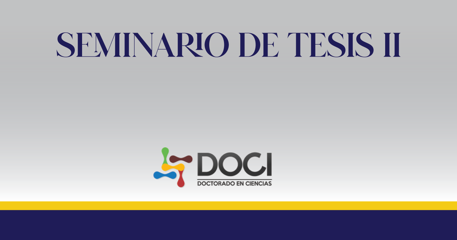 Seminario de Tesis II
