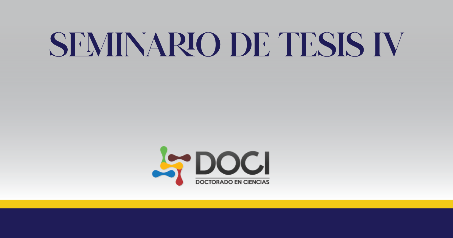 Seminario de Tesis IV