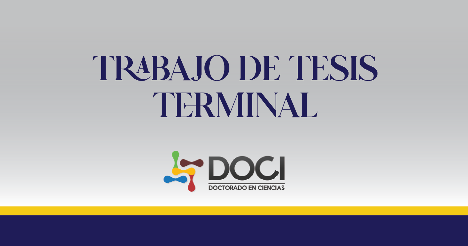 Trabajo de Tesis Terminal B