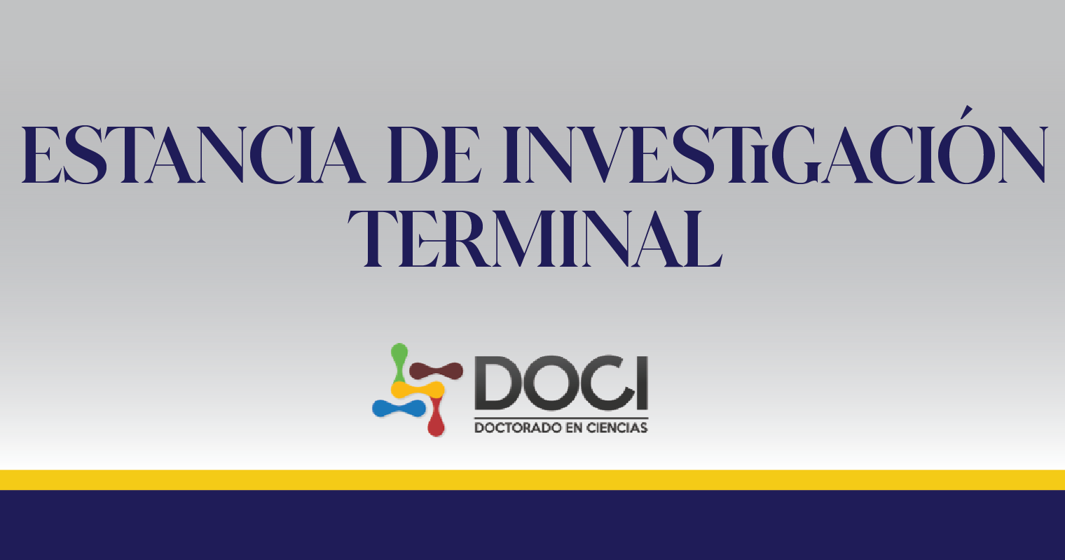 Estancia de Investigación Terminal