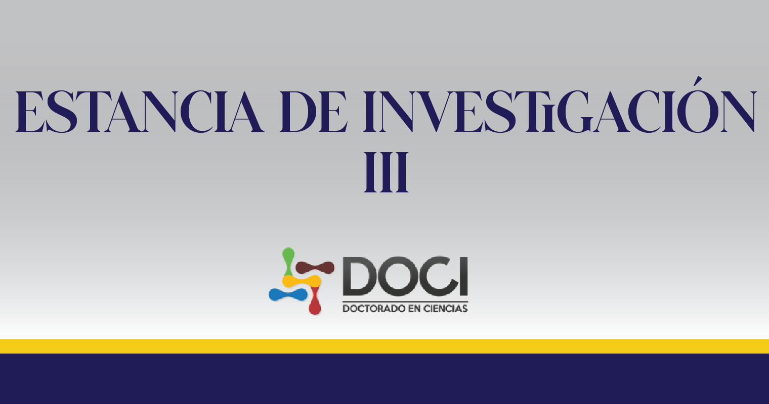 Estancia de Investigación III 